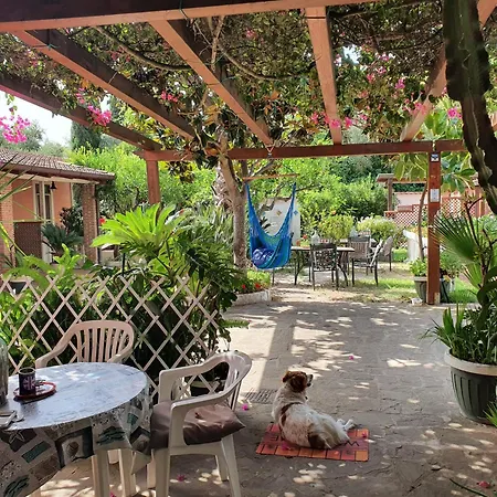 La Capannina Cilento Cam 10 *
